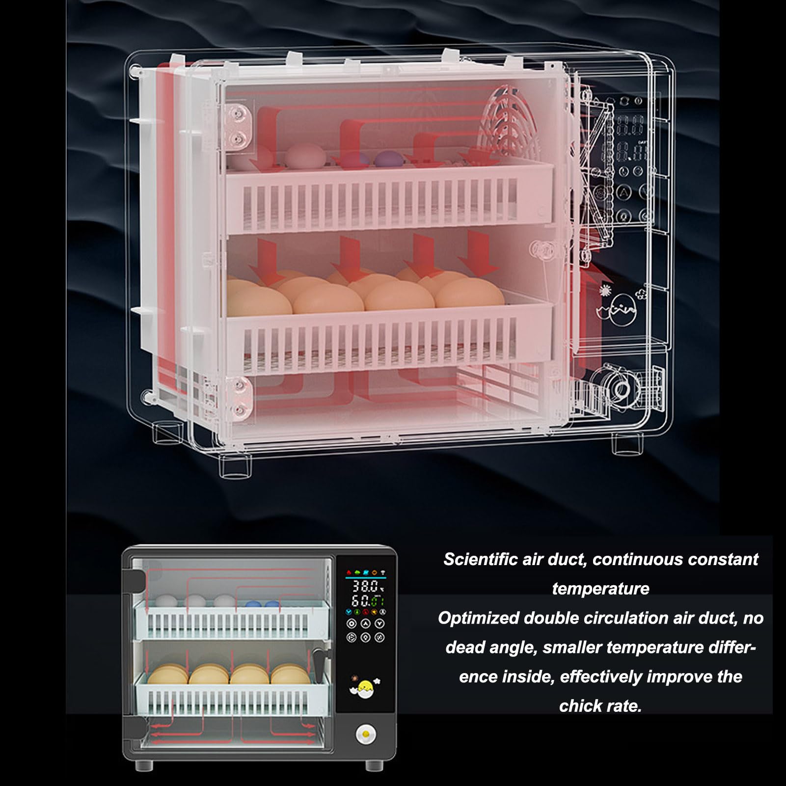 ▪️送料無料！自動転卵機 温度制御搭載 24個孵卵器 育成に110V▪️ Amazon.co.jp: 自動転卵機 智能温度制御搭載 24個収容 鶏卵専用 孵卵器